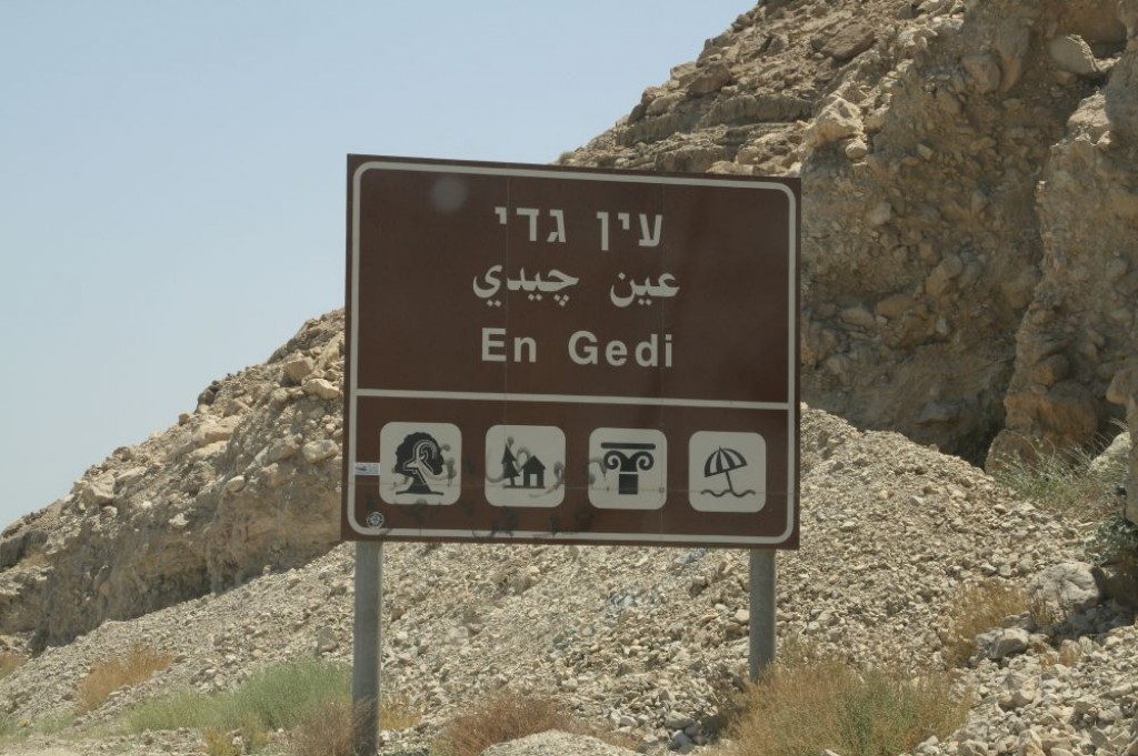 We stayed in En Gedi (or Ein Gedi), one of the two towns on the Dead Sea.
